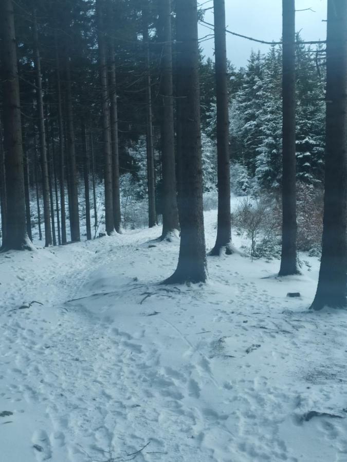 Penzion Bazalka Jablonec nad Nisou Exterior foto